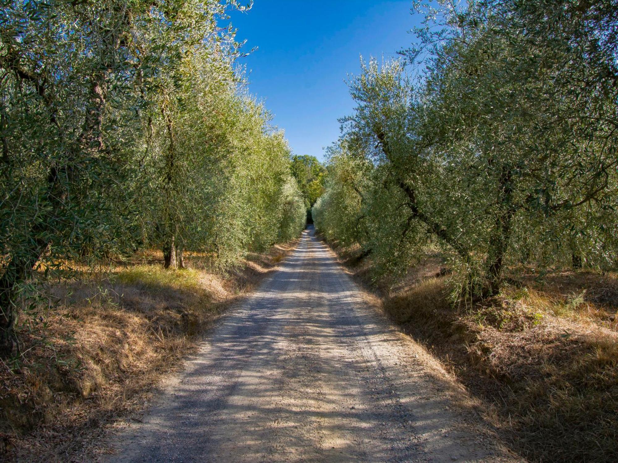 Holiday Home Merlot By Interhome Cedri Dış mekan fotoğraf