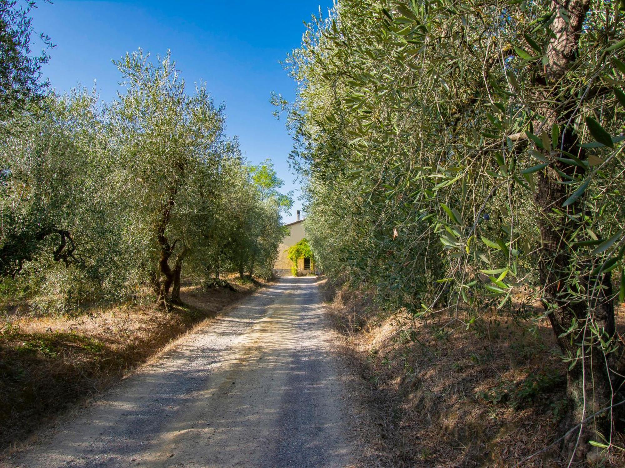 Holiday Home Merlot By Interhome Cedri Dış mekan fotoğraf